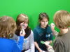 WDR Kinderstudio: Image