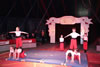 Zirkusprojekt: IMG 3793