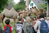 Zoobesuch der 2a: Bild