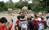 Zoobesuch der 2a: Bild